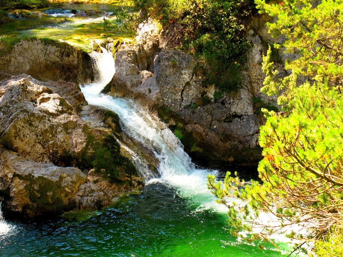 Waterfalls in a rocky forest stream