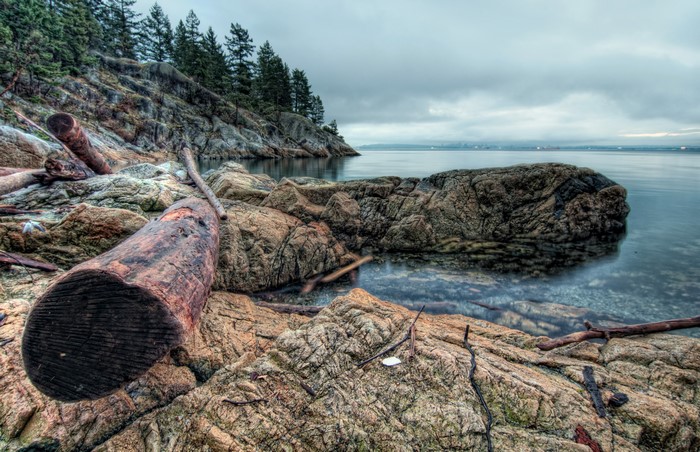 Rocky Coastline with Logs and Ocean in Vancouver, Canada