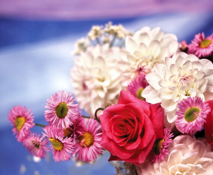 Bouquet of Roses and Daisies