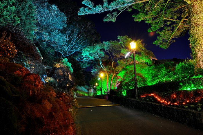 Wellington Botanical Gardens at night with street lights