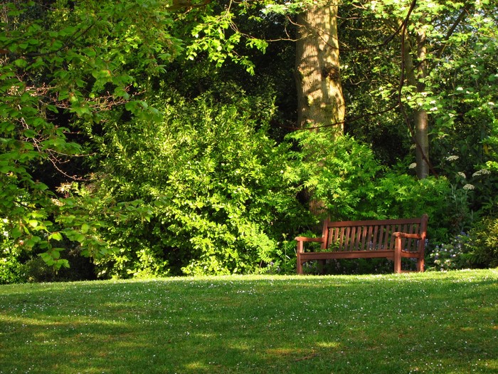 Park bench in a garden with trees and grass