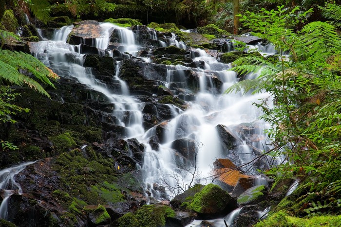 Waterfall cascading over mossy rocks in Yarra Ranges National Park