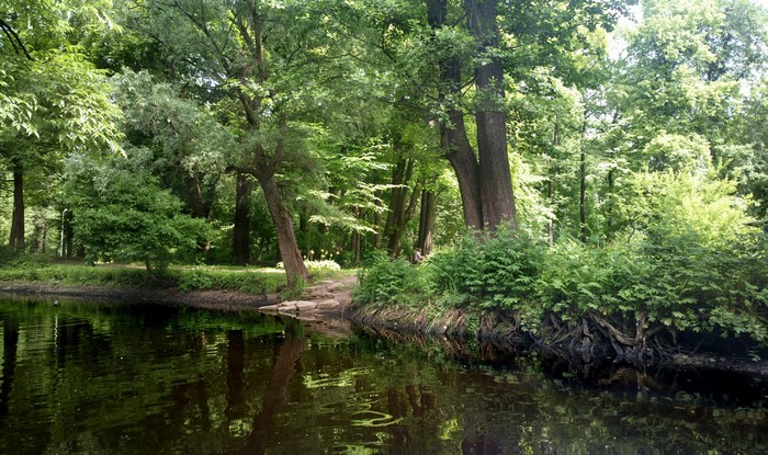 Park in St. Petersburg, Russia