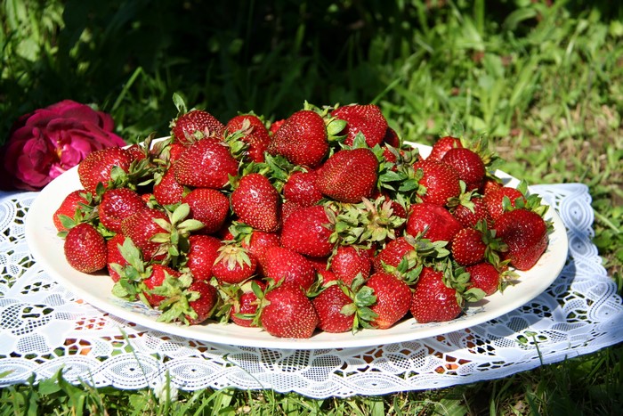 Plate of fresh strawberries on a lace tablecloth