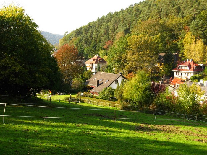 Houses nestled in a forest valley in Marburg, Germany