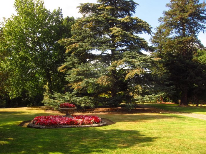 Beale Arboretum Barnet Gardens England Lawn
