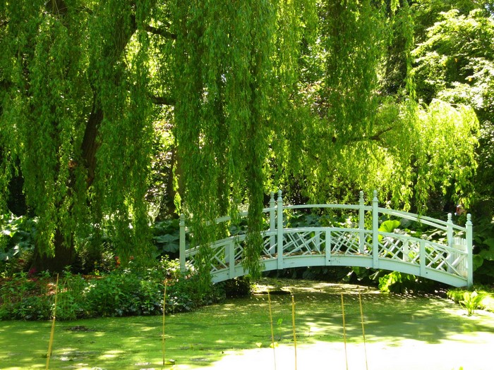 White bridge over a pond in Richmond Parks, England