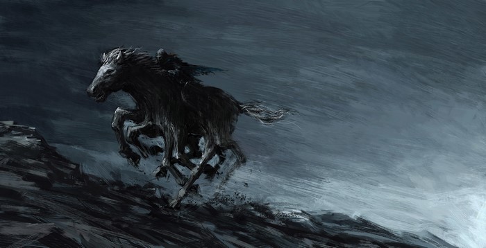 Dark horse galloping on a rocky terrain