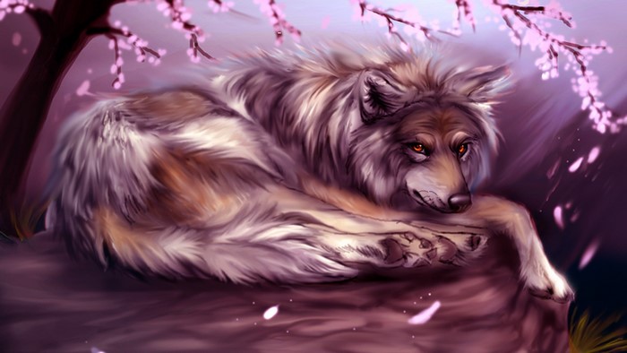 Wolf resting under cherry blossoms