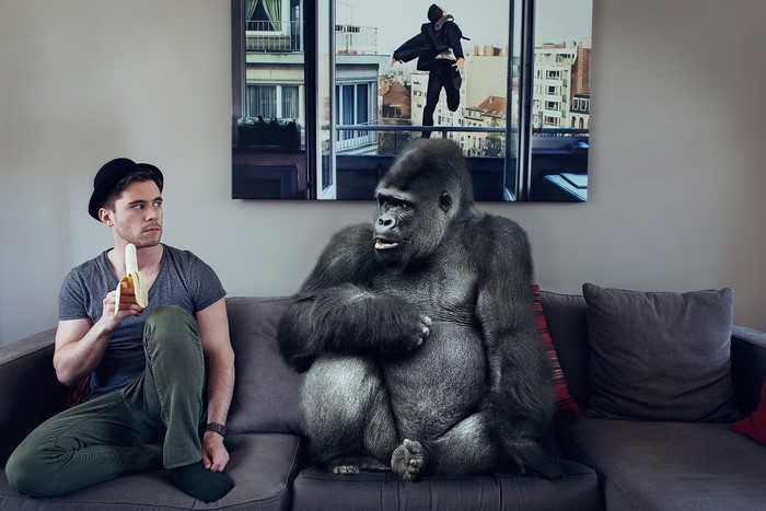 Man with banana and gorilla on couch