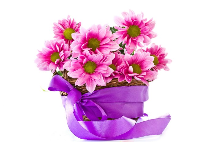 Pink Chrysanthemums in a Basket with Purple Ribbon