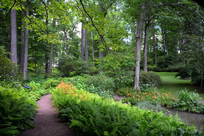 Garden path through a wooded area at Winterthur, USA