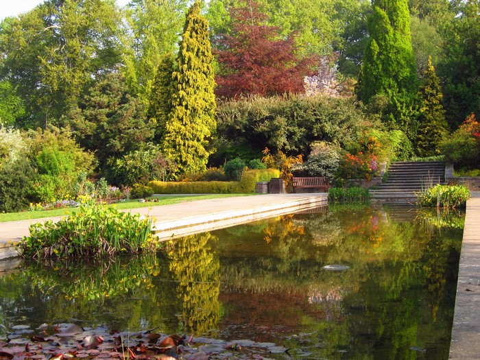 Formal garden with a pond and stone steps