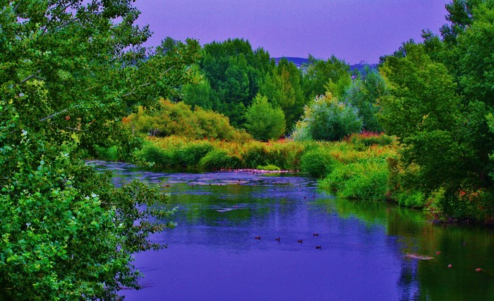 River and trees in Spain