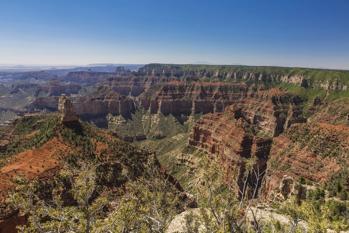 Grand Canyon Park Scenic Canyon Landscape