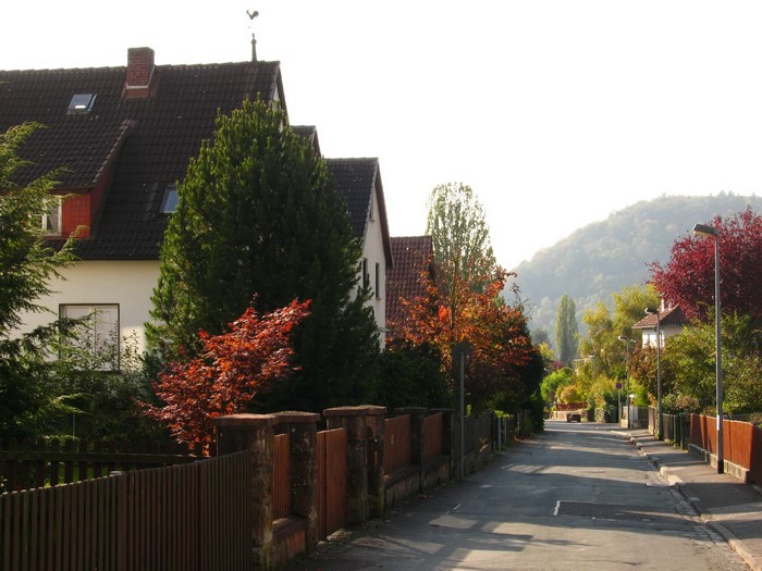 Street in Marburg, Germany with autumn trees