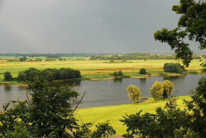 River landscape with trees and fields in Hitzacker, Germany