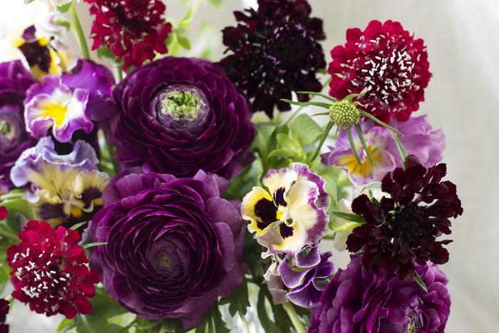 Purple and red flowers in a bouquet