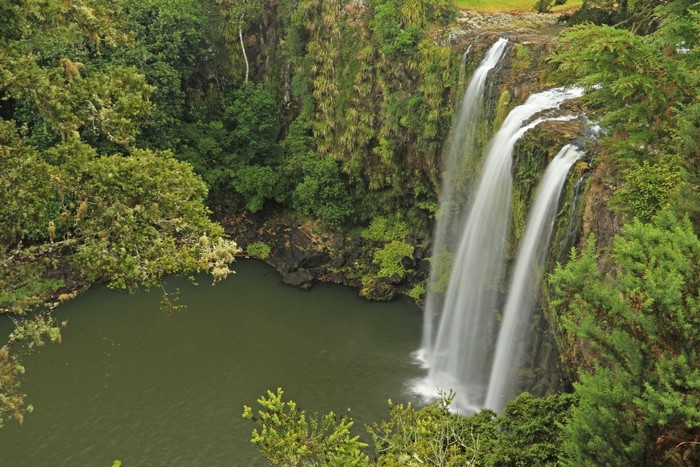 Whangarei Falls on Hatea River, New Zealand