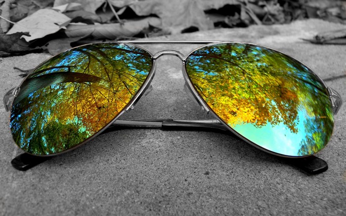 Aviator sunglasses reflecting autumn trees