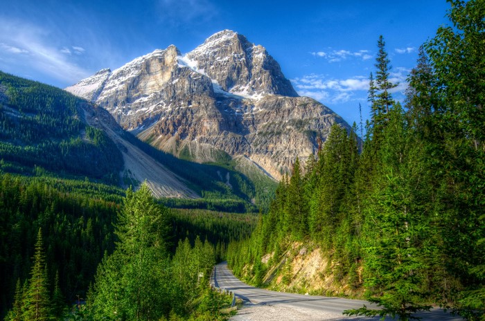 Mountain road through forest in Yoho National Park, Canada