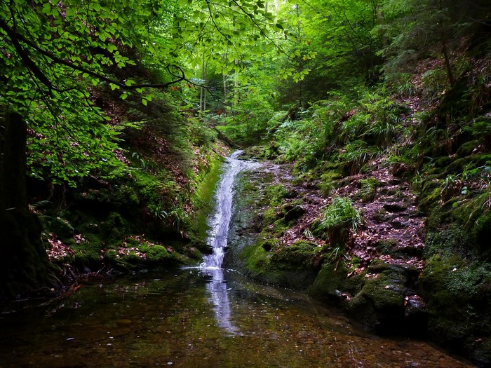 Waterfall in a lush green forest in Aywaille, Belgium
