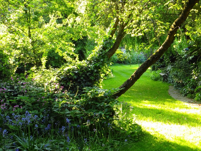 Sunlit garden with trees and flowers
