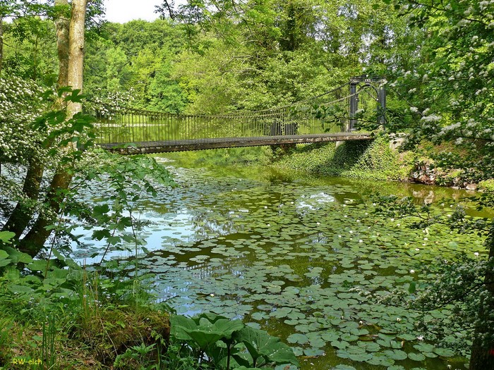 Suspension bridge over a pond with water lilies