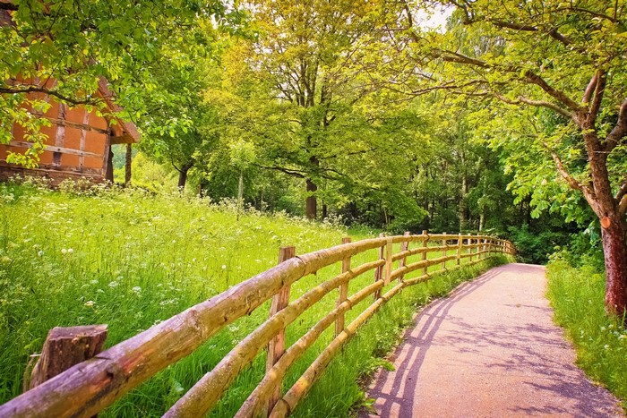 Wooden fence along a path in a green meadow
