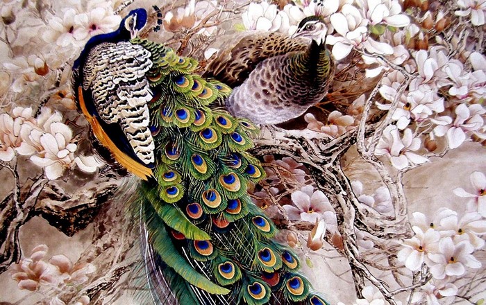 Two peacocks perched on a flowering tree branch