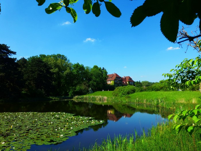 House by a lake with water lilies in Germany