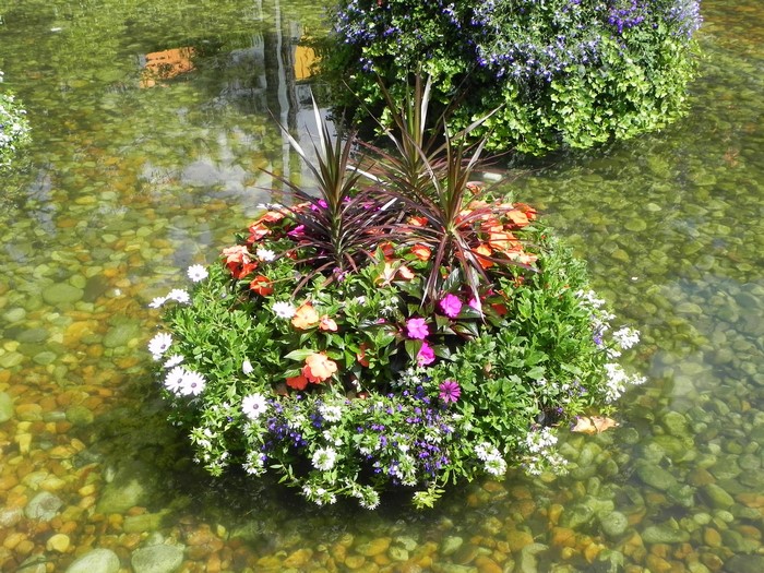Floating flower arrangement in a pond