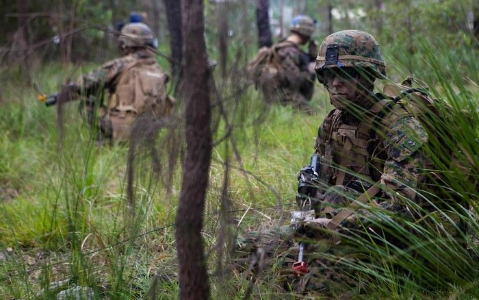 Marines in tactical gear in a wooded area