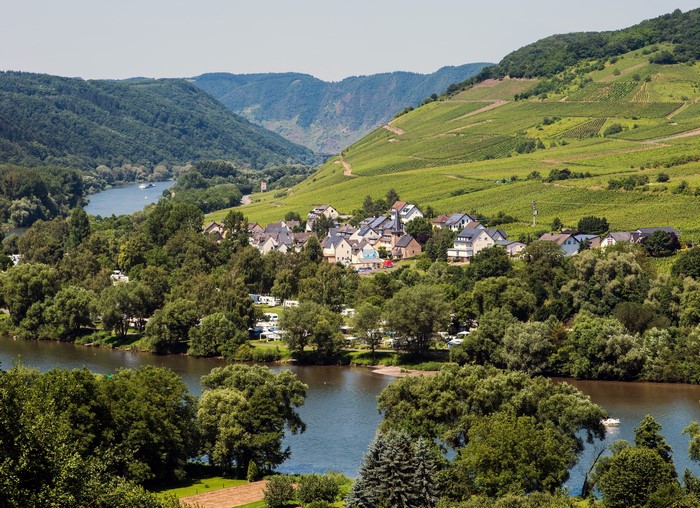 Village on a river with vineyards in Germany