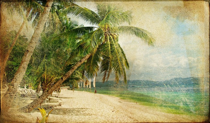 4K Tropics Palms Beach
