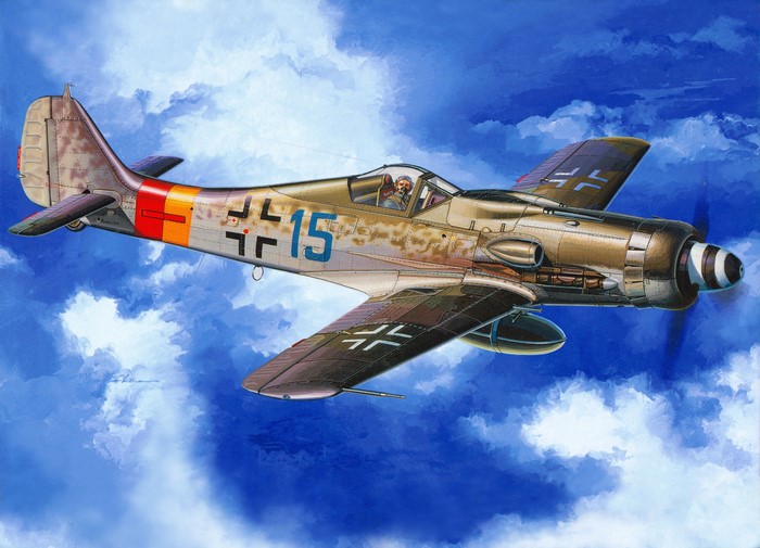 Fw 190D Airplane in Flight