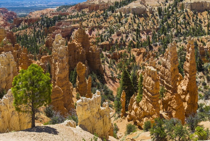 Bryce Canyon National Park Hoodoos, Utah, USA