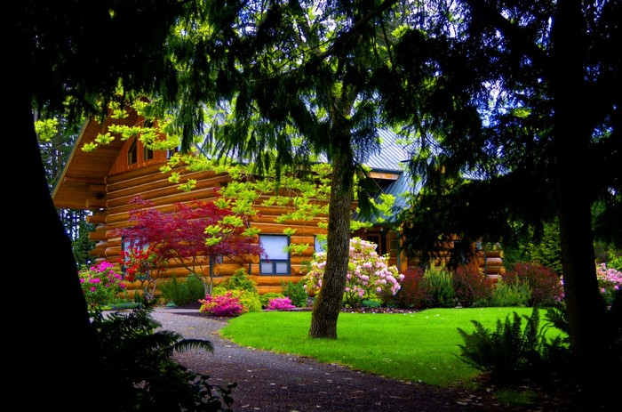 Log cabin surrounded by trees and flowers