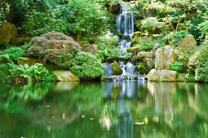 Waterfall in a Japanese Garden with Pond