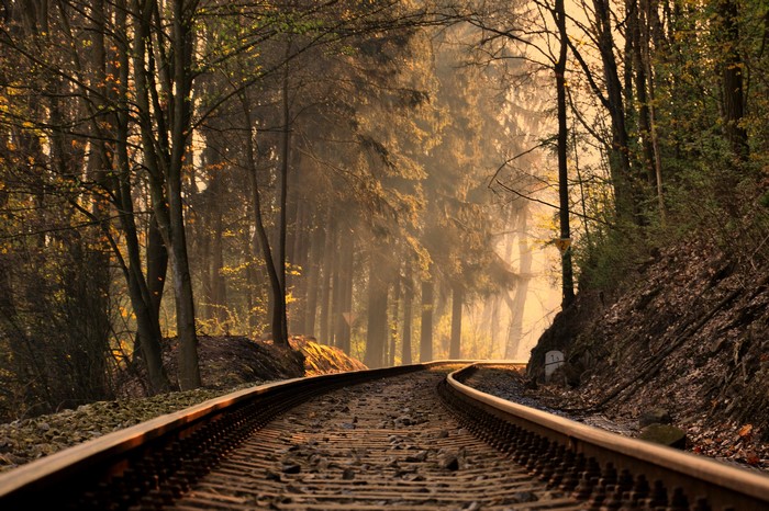Railroad tracks curving through a sunlit forest