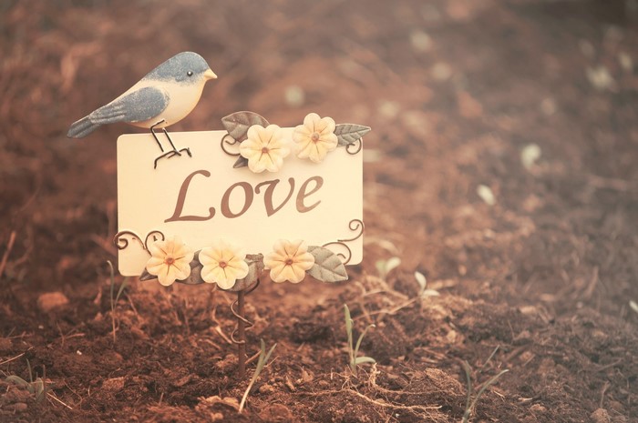 A decorative bird sits on a sign that says Love