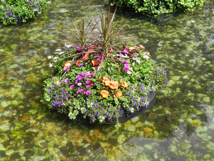 Floating island garden with colorful flowers in a pond
