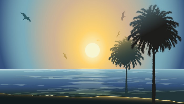Sunset over the sea with palm trees and birds