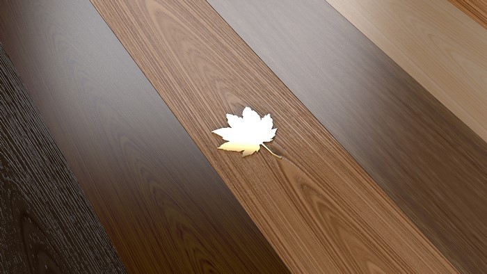 Golden Maple Leaf on Wood Floor