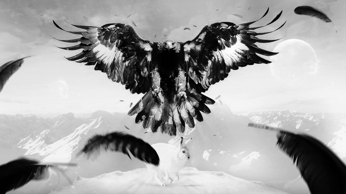 Eagle attacking a hare in snowy mountains