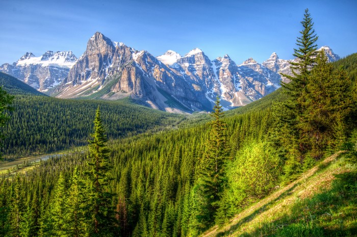 Banff National Park, Canada: Snow-capped mountains and pine forests