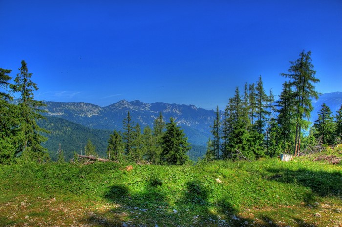 Mountain landscape with trees in Bavaria, Germany