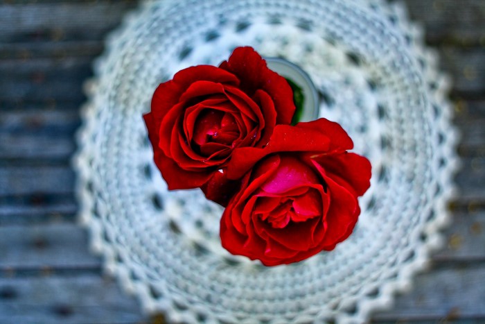 Two red roses on a doily