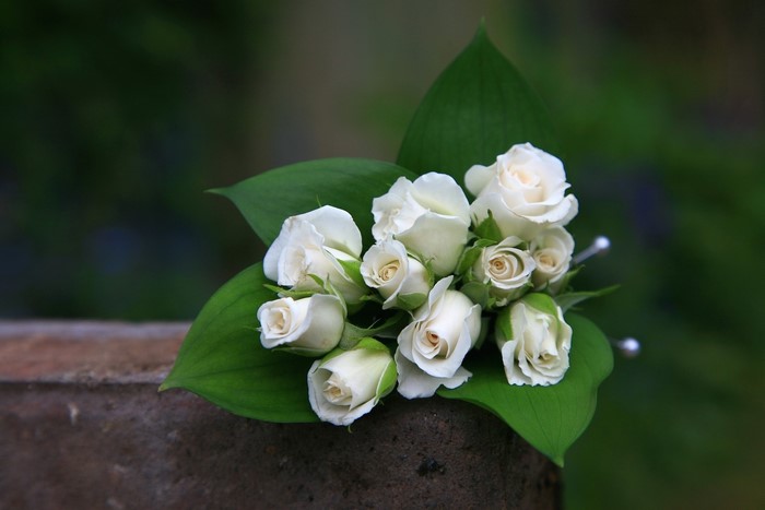 White roses with green leaves on a stone surface