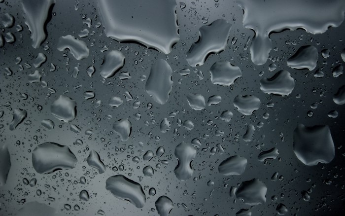 Water drops on a dark surface